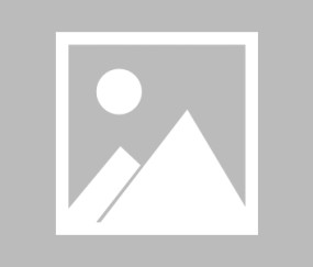 爱游戏官网入口 -zeus和faker比赛资源争夺